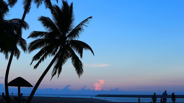 椰林——象征海南岛的标志性风景