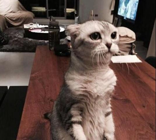 带你看看杨祐宁的豪宅,装修豪华又时尚,在阳台上烧烤很休闲