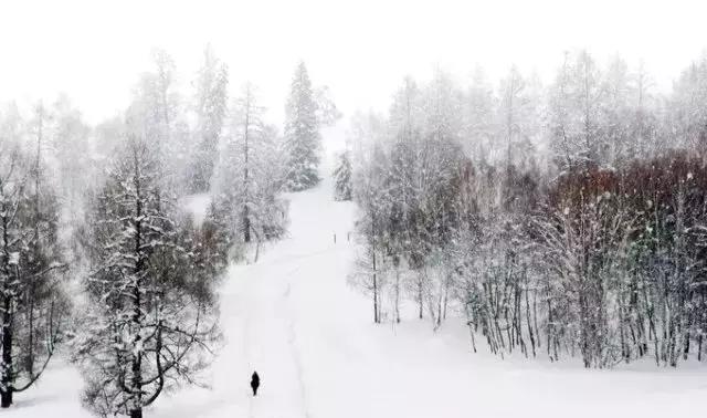新疆喀纳斯童话世界、最美雪景,2019元旦7日