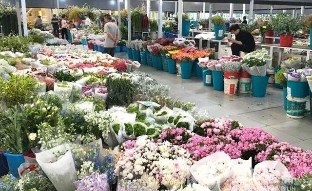 官园没了?天娇没了?北京哪里还有花鸟鱼虫市场?