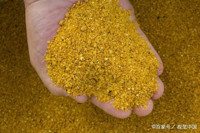 牛奶效益很可观，牛的冬季养护很关键，这些育肥知识你了解吗