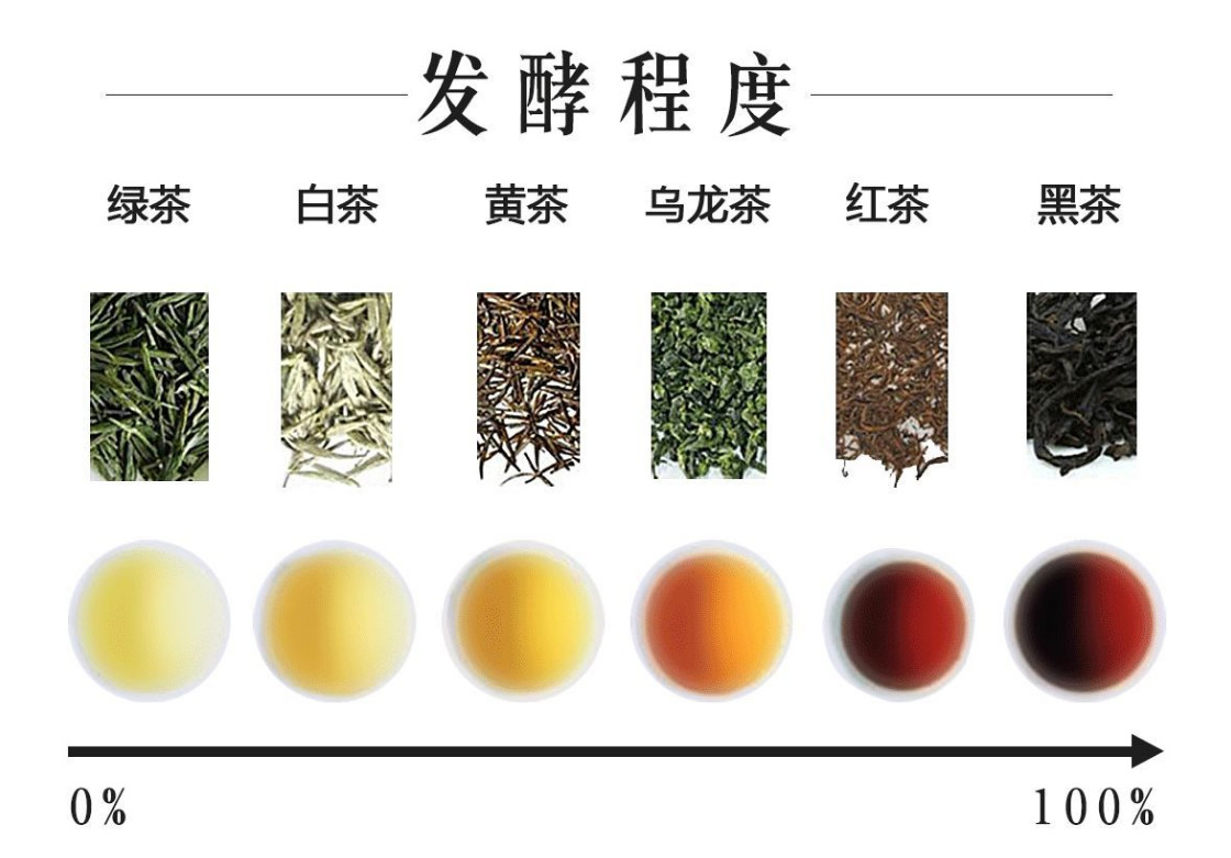 真正的干货:六大茶类你是否都喝过?