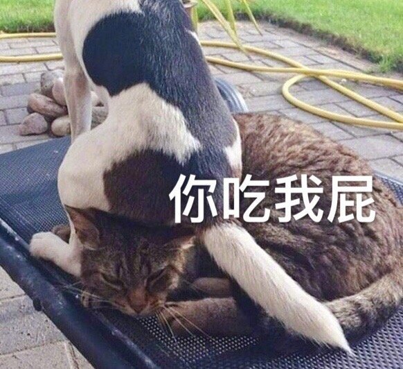 表情包:你吃我屁