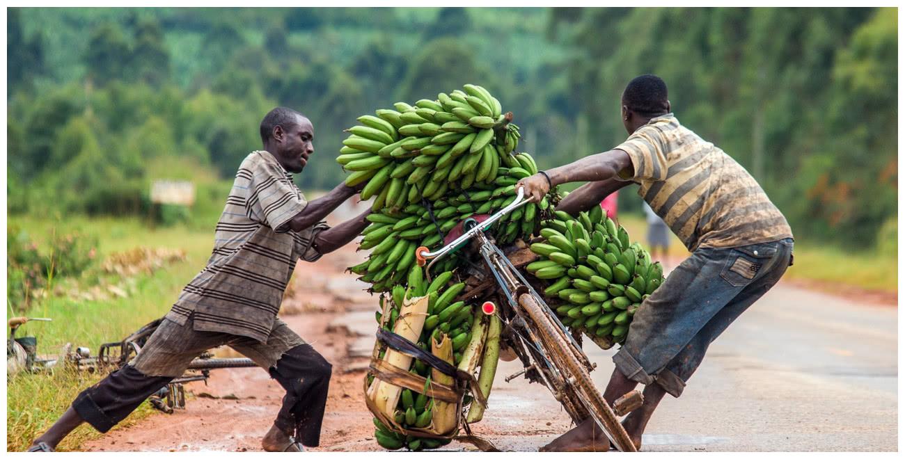 一般一辆车自行车能承重的重量有5把香蕉,在这样的情况下,非洲小伙们