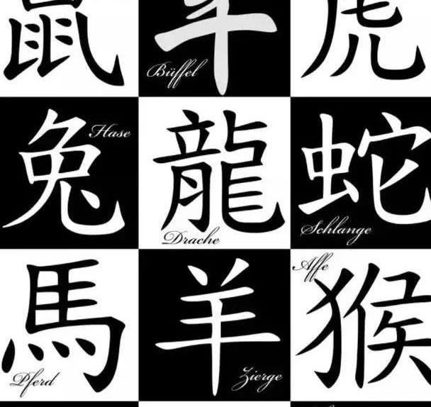 户外运动照,徒步登山等利事业运,领导运.    宜用彩色生活照做头像