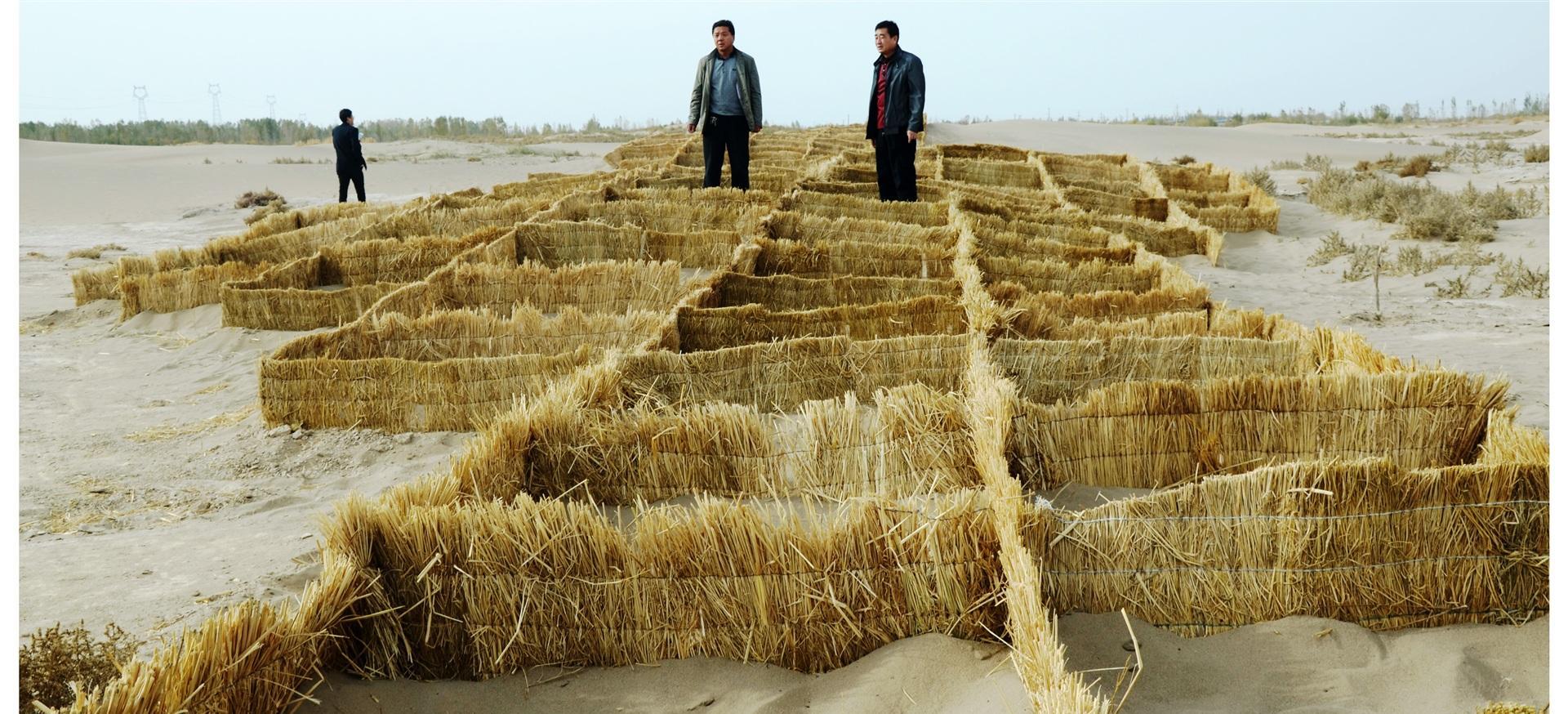 中国西北地区荒漠化的原因是什么？ - 知乎