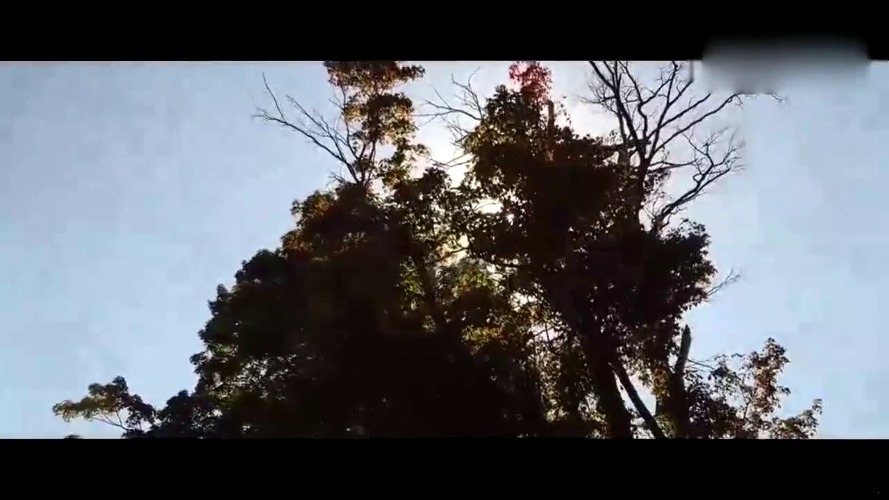 能认出它的“原身”吗？实拍霸气改装车