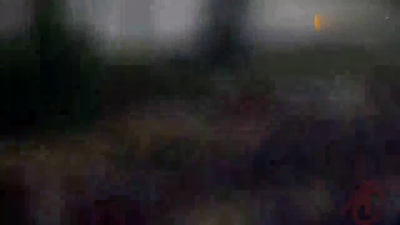 跑车大赛现场壮观，观众众多