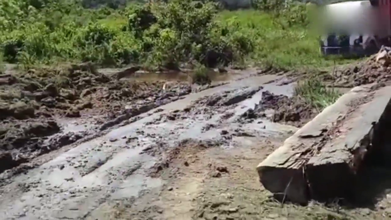 卡车到极点驾驶