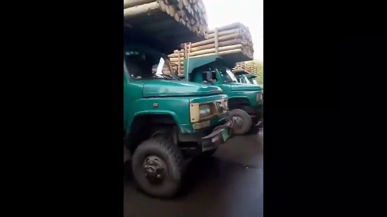 一排整齐的国产大卡车进山伐木安全回来