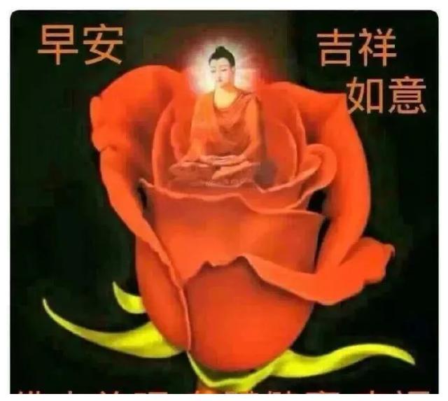 群发朋友圈很棒很赞的早上好问候语,早安吉祥祝福语美