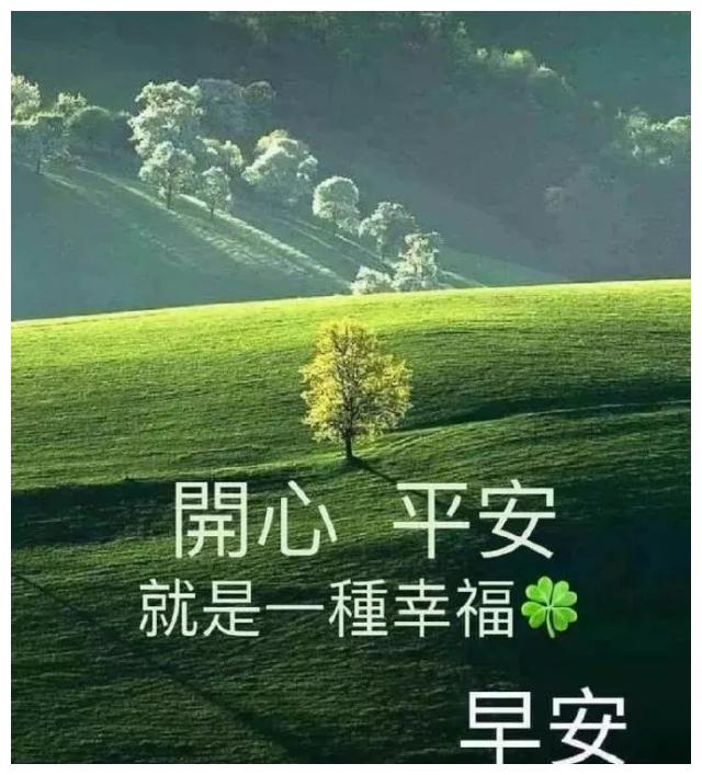 群发朋友圈很棒很赞的早上好问候语,早安吉祥祝福语美