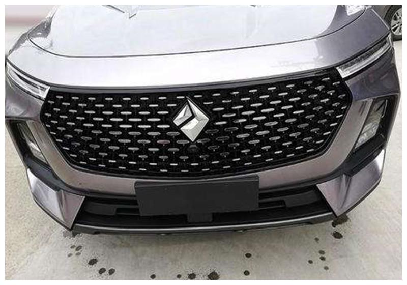 国产车“换标”如换衣?网友:还没记住又换了,车企太善变!