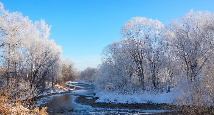 人间奇境库尔滨河,北国风光奇幻雾凇,如同严寒中盛开的冰花