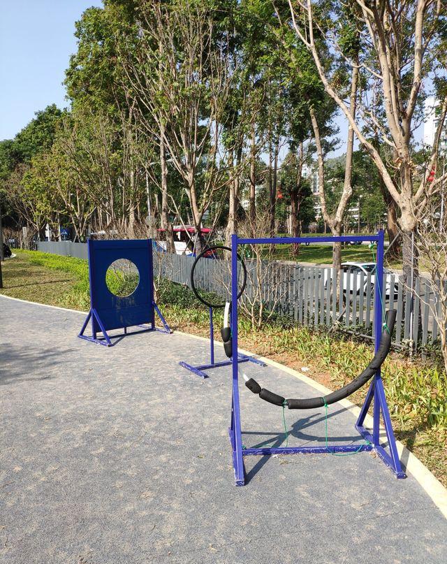 「宠爱」深圳首个宠物主题公园开放啦,假期领