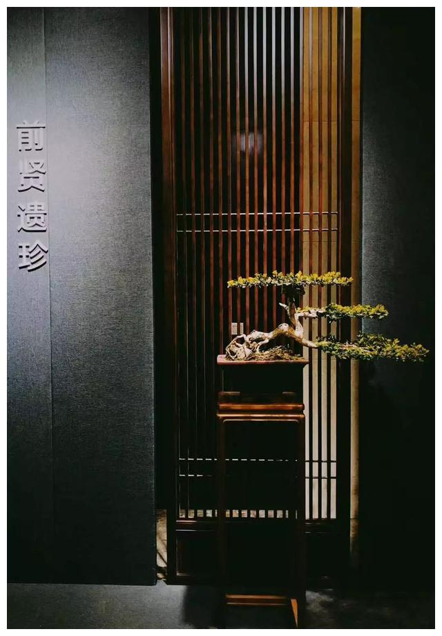 从石涛到八怪:扬州画坛三百年