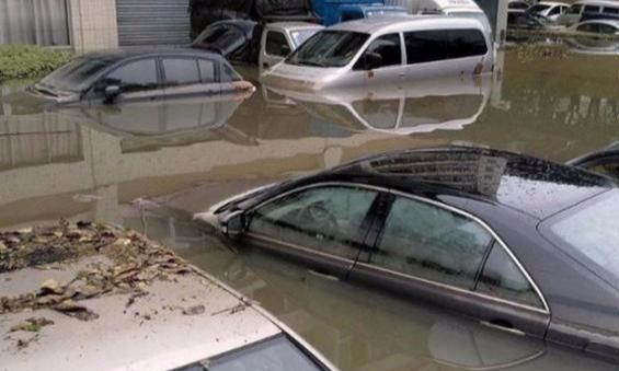 老司机宁愿让爱车泡在暴雨里也不去挪车？车险员哭了：这是高手