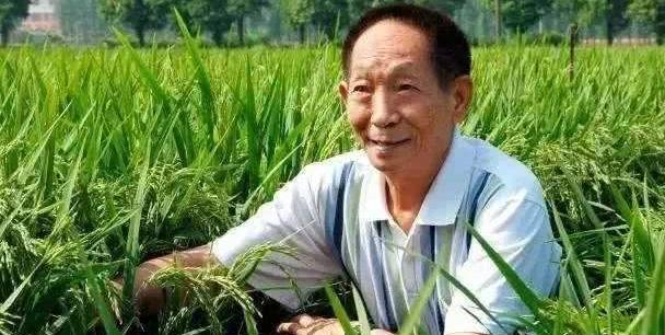 会英语、俄语,会拉小提琴、跳踢踏舞…原来你