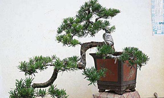 什么成语带蟠_成语故事简笔画(2)