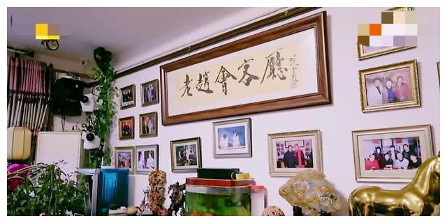 赵忠祥豪宅曝光:鱼池比游泳池还要大,到处都是古董字画经典藏书