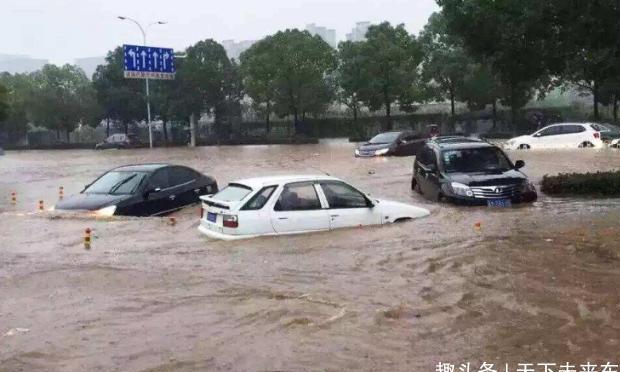为何有车主宁愿让车泡水里也不挪车？定损员：这是高手