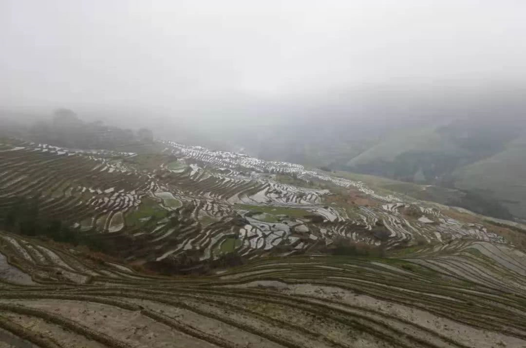 去桂林旅游要多少钱?原来本地网红向导这么说