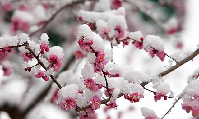 一剪梅曲谱二胡教唱_一剪梅二胡曲谱