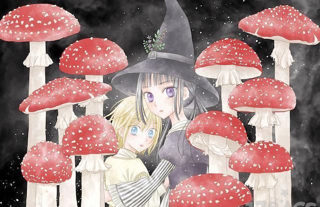 樋口橘最新作 シャンピニオンの魔女 今日连载开始 爱丽丝 魔女 新作 新浪新闻