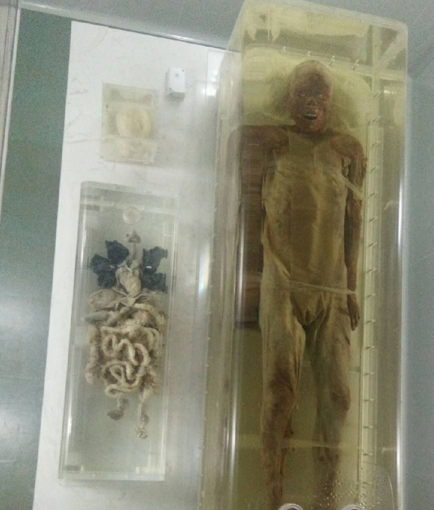 博物馆探秘第n站:荆州博物馆