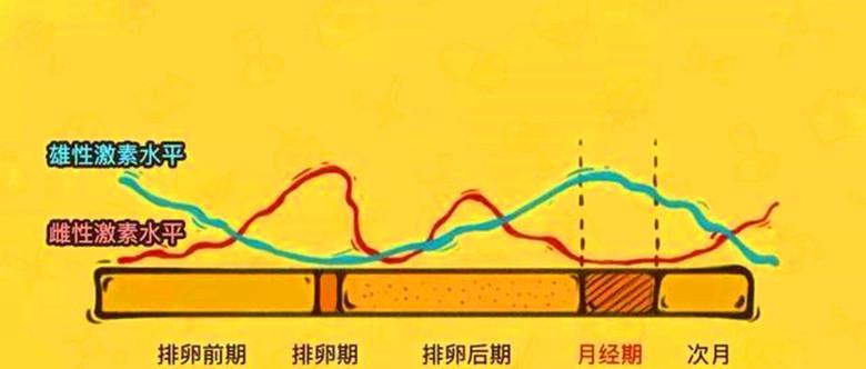 排卵|雌激素|卵泡_新浪新闻