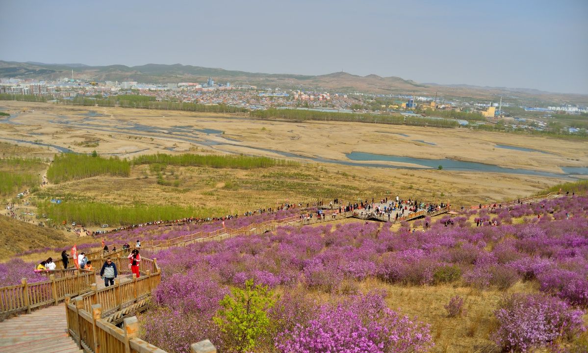 扎兰屯品茶自带工作室加v是否靠谱及扎兰屯旅游攻略全解析