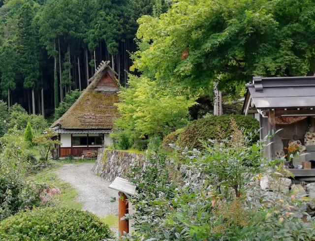 日本"最美"小村庄,尽显了山水田园乡间景色,美到不食人间烟火