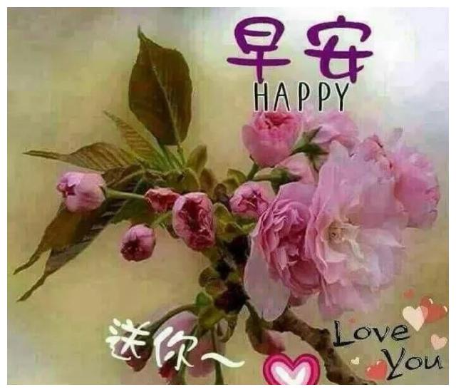 新的一天很火早安祝福图片带字,来自心窝的真诚问候