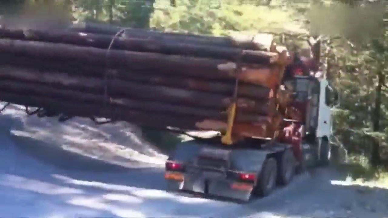 卡车运输16米长的原木过弯道，没有20年的车技，估计都办不到