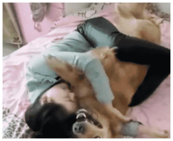 女孩喝醉后,紧紧抱着狗一起睡觉,醒后却尴尬的和狗去了医院