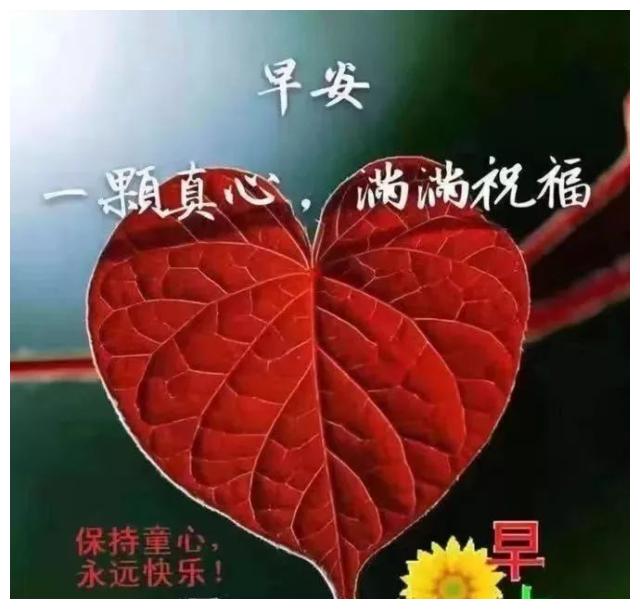2020年早安祝福图片,2020新年早安祝福图片 新的一天很火早安祝福图片带字,来自心窝的真诚问候