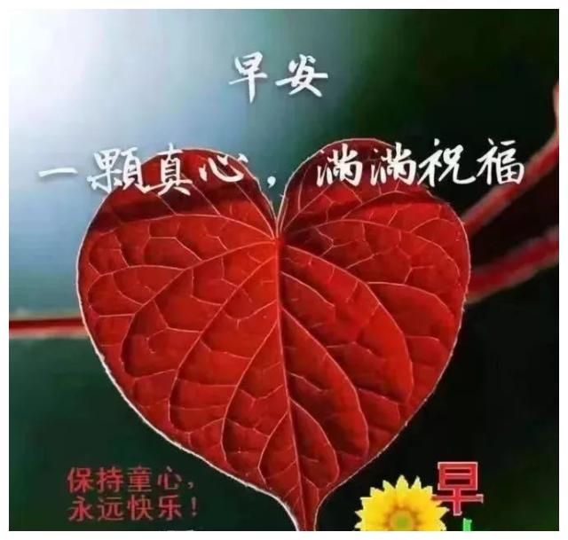 新的一天很火早安祝福图片带字,来自心窝的真诚问候