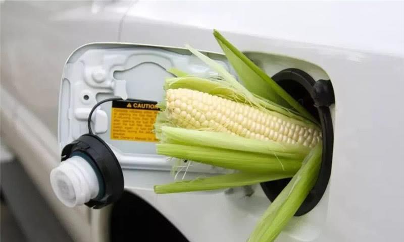 乙醇汽油出问题，发动机拉缸车主集体维权，原因竟是这东西！