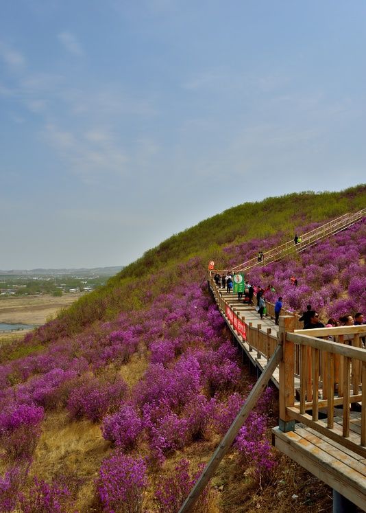 扎兰屯品茶自带工作室加v靠谱吗