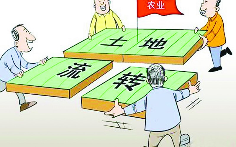 每亩地10万元让农村土地权永久转让,作为一名农民,你会愿意吗?