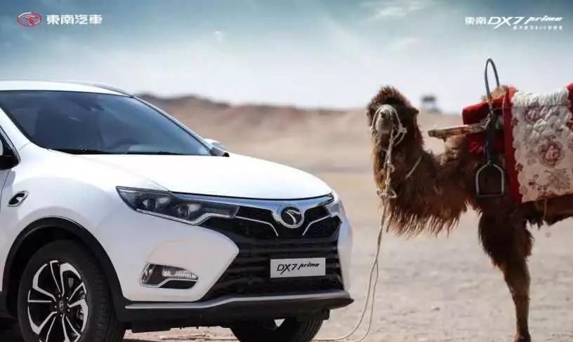 这五大车险最没用，买了几乎就是浪费钱！