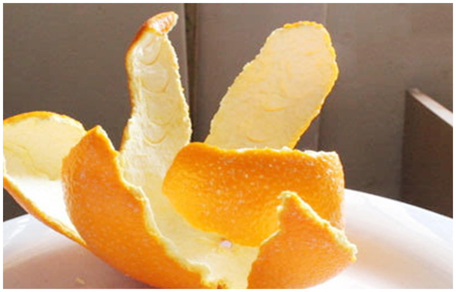 橘子吃多了会上火？还会变成小黄人？关于吃橘子的6个真相_深圳新闻网