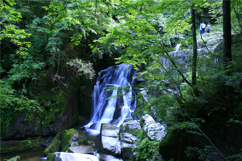 春到木王山赏杜鹃 景区推出全民半价75元超值套餐