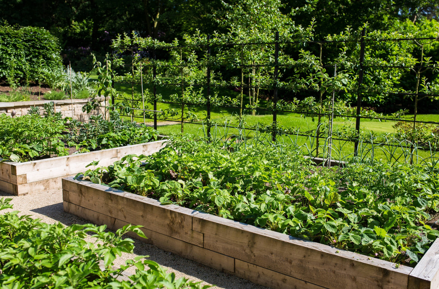 2019年的菜园设计趋势：景观式种菜，从此你的菜地就是你的花园|景观式|菜 