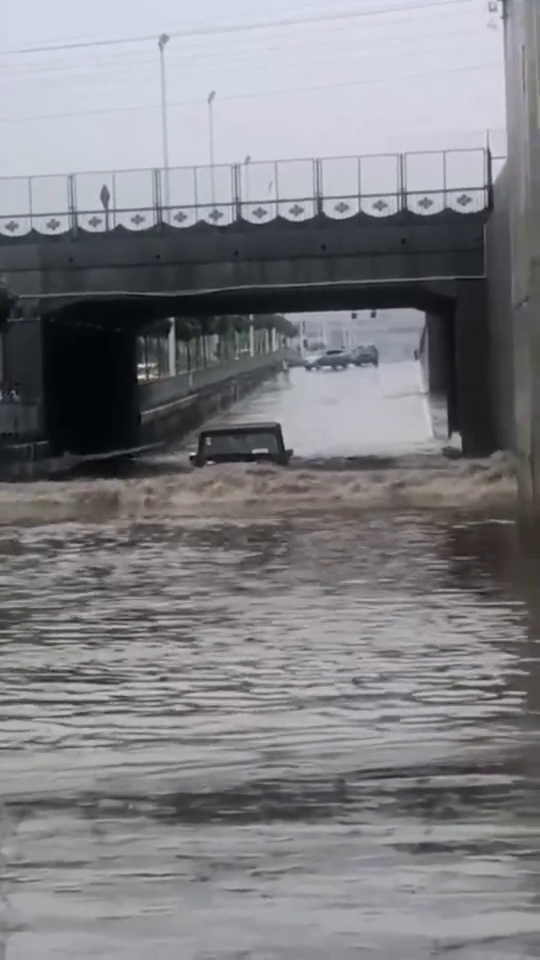 猜猜看，是国产车还是进口车