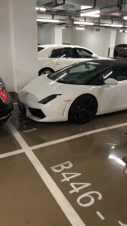 有钱人的世界我不懂，一个停车位80万，就为了放电动车