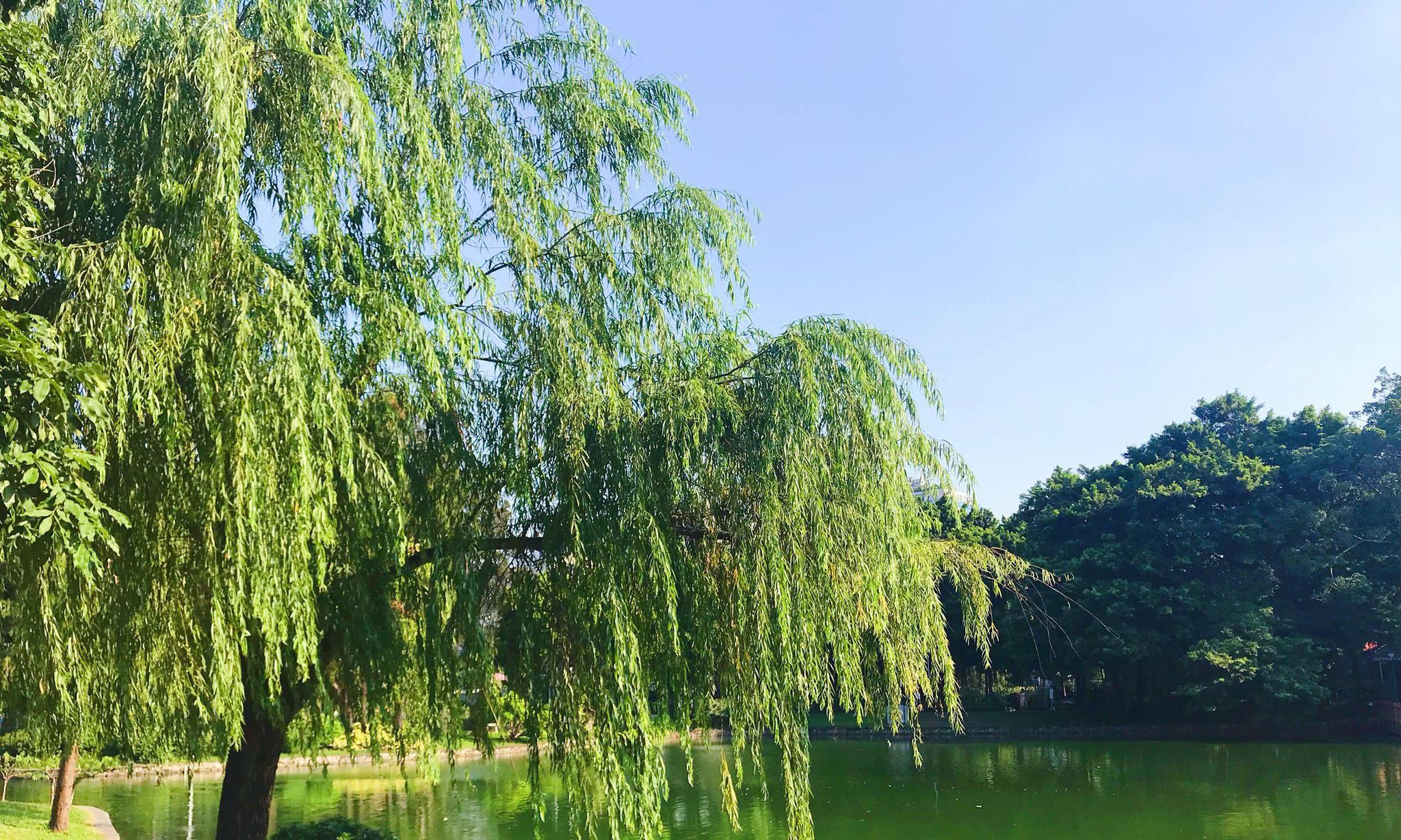同城快餐觅食指南：三步找到附近实惠美食
