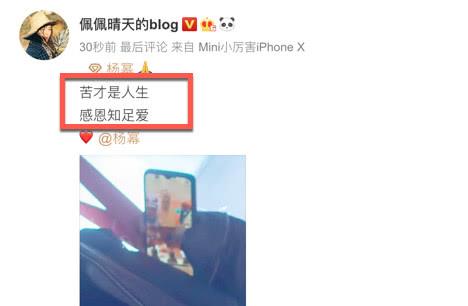 离婚后要出家?杨幂机场照手机壁纸是个僧人,网友:好佛啊