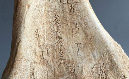 比甲骨文更早的文字, 距今已有九千年, 中华历史即将改写