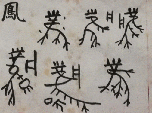 比甲骨文更早的文字, 距今已有九千年, 中华历史即将改写